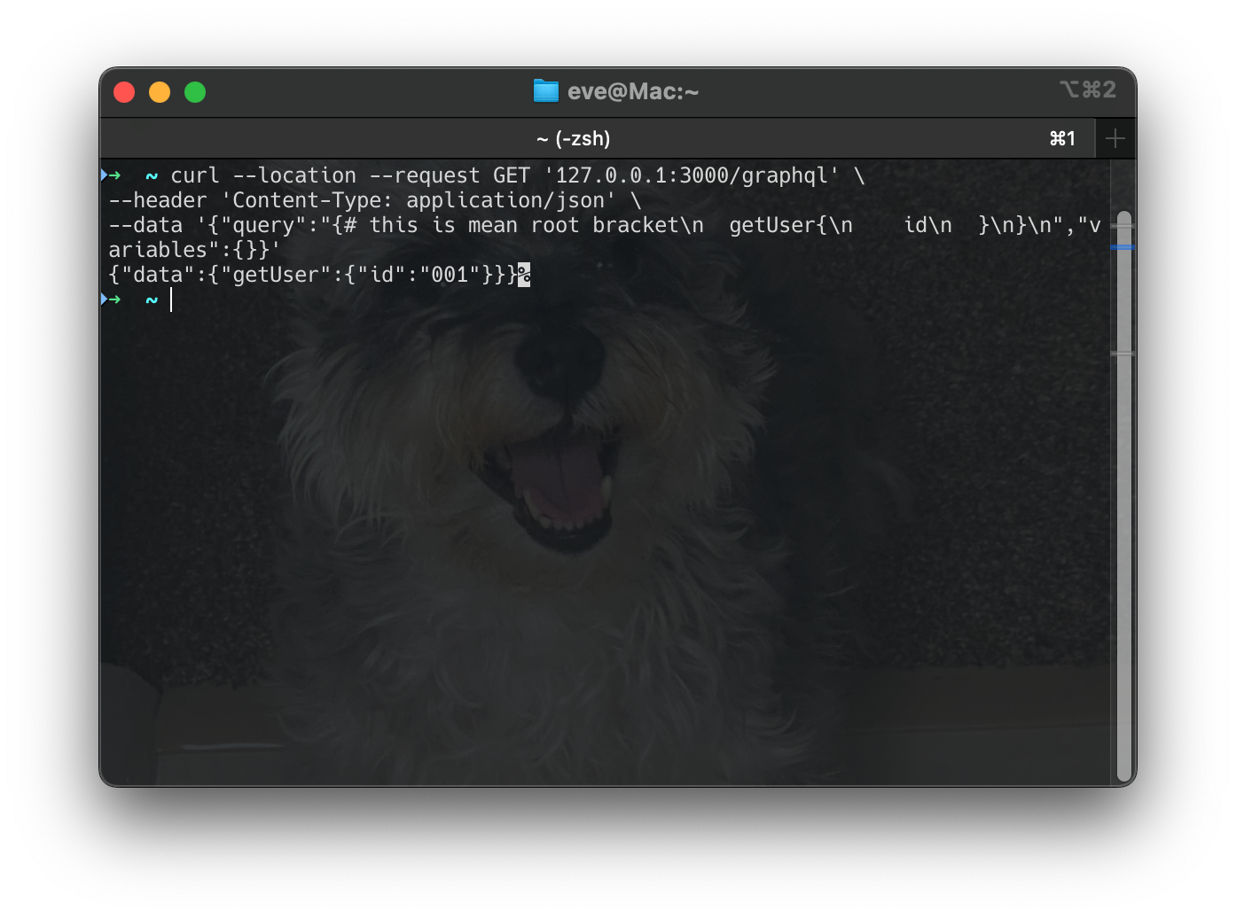 Screenshot 2025-03-17 at 19.33.08