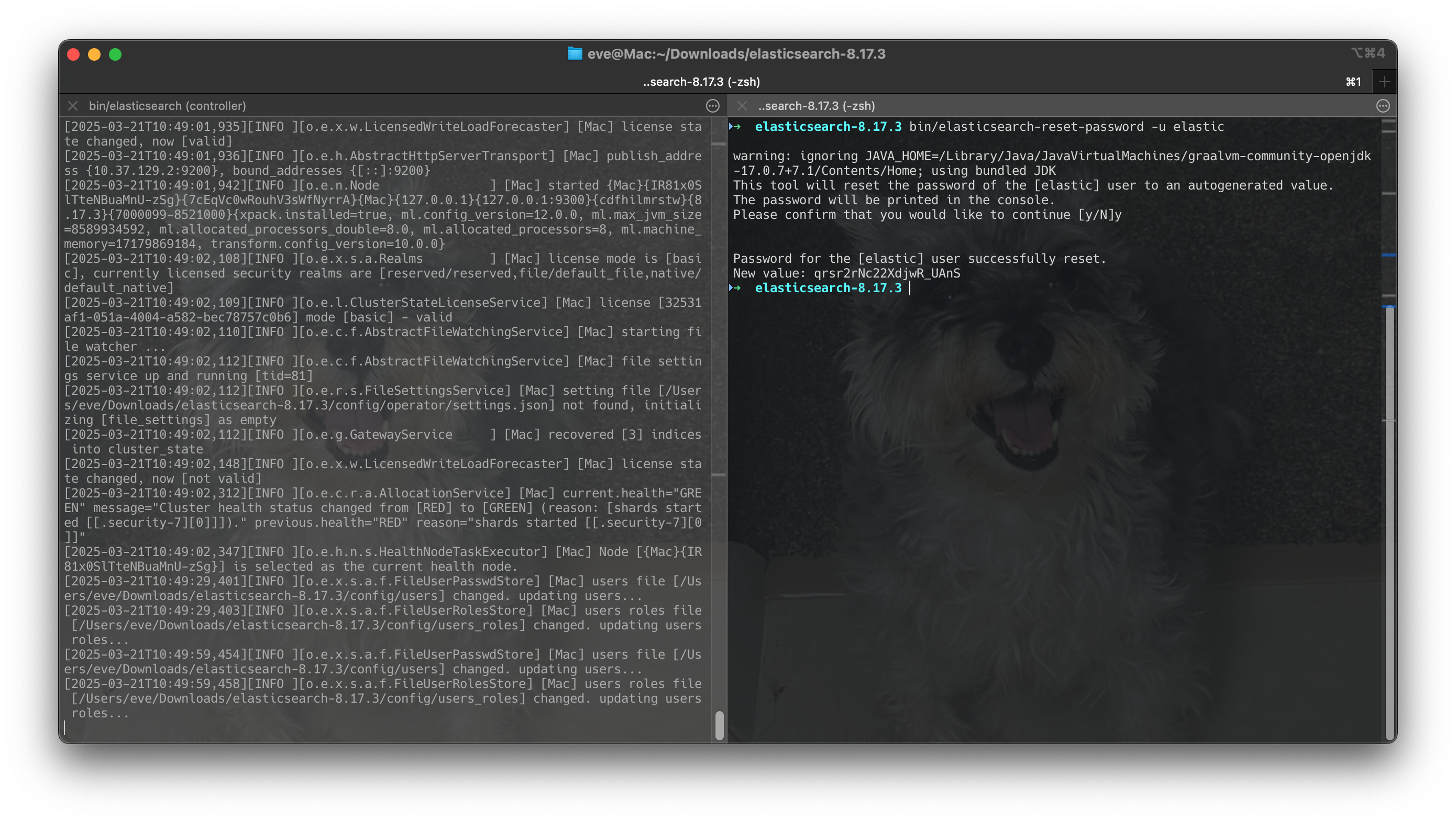 Screenshot 2025-03-21 at 10.50.02
