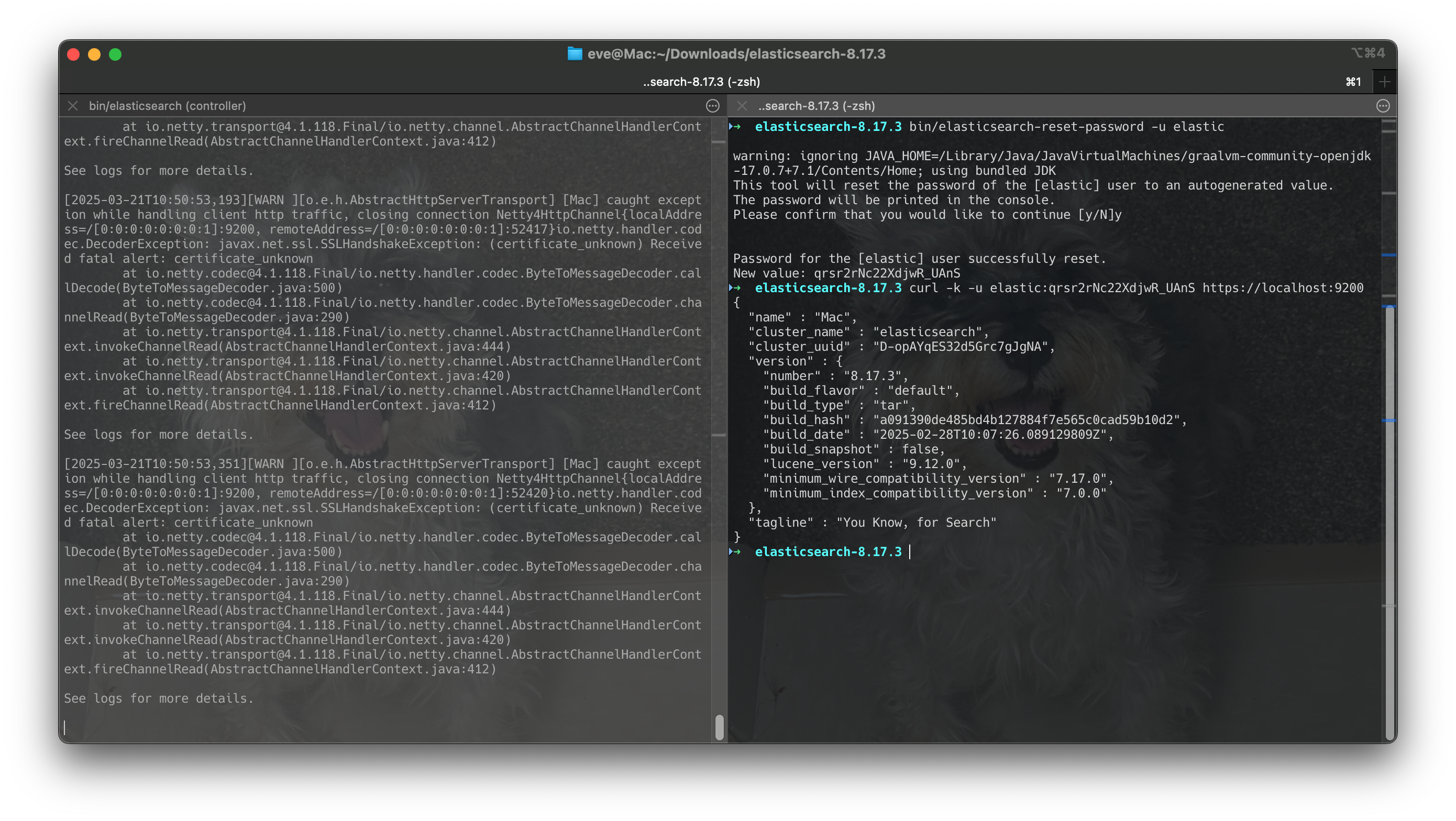 Screenshot 2025-03-21 at 10.51.50