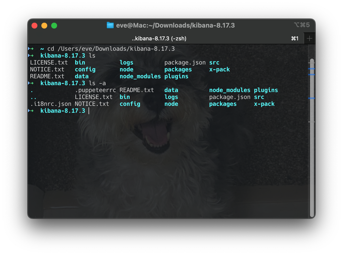 Screenshot 2025-03-21 at 11.01.31