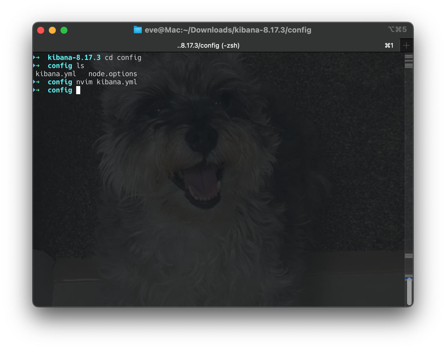 Screenshot 2025-03-21 at 11.04.46