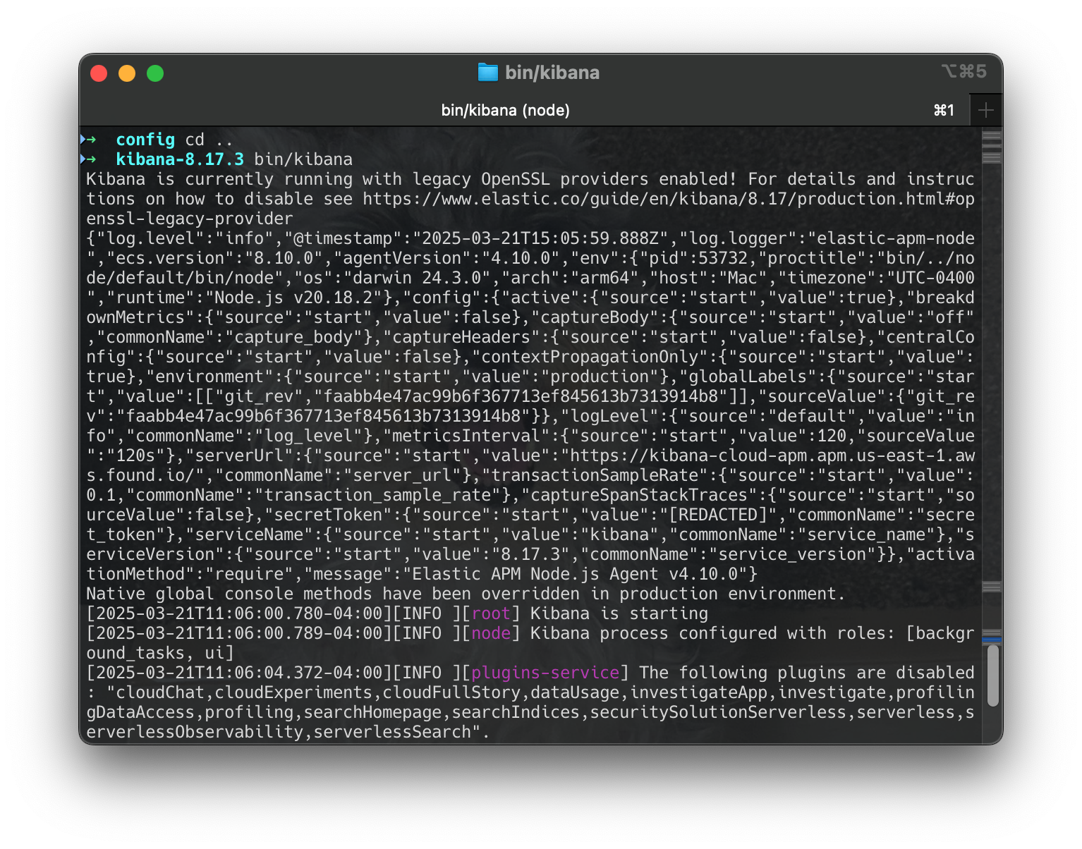 Screenshot 2025-03-21 at 11.06.46