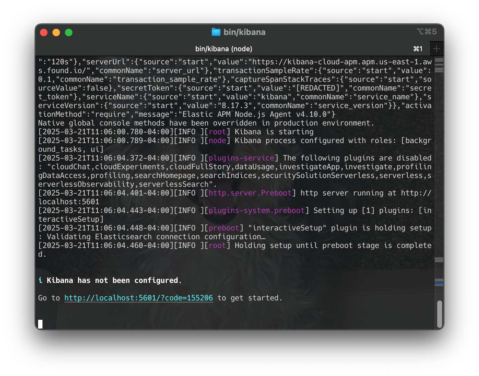 Screenshot 2025-03-21 at 11.07.17