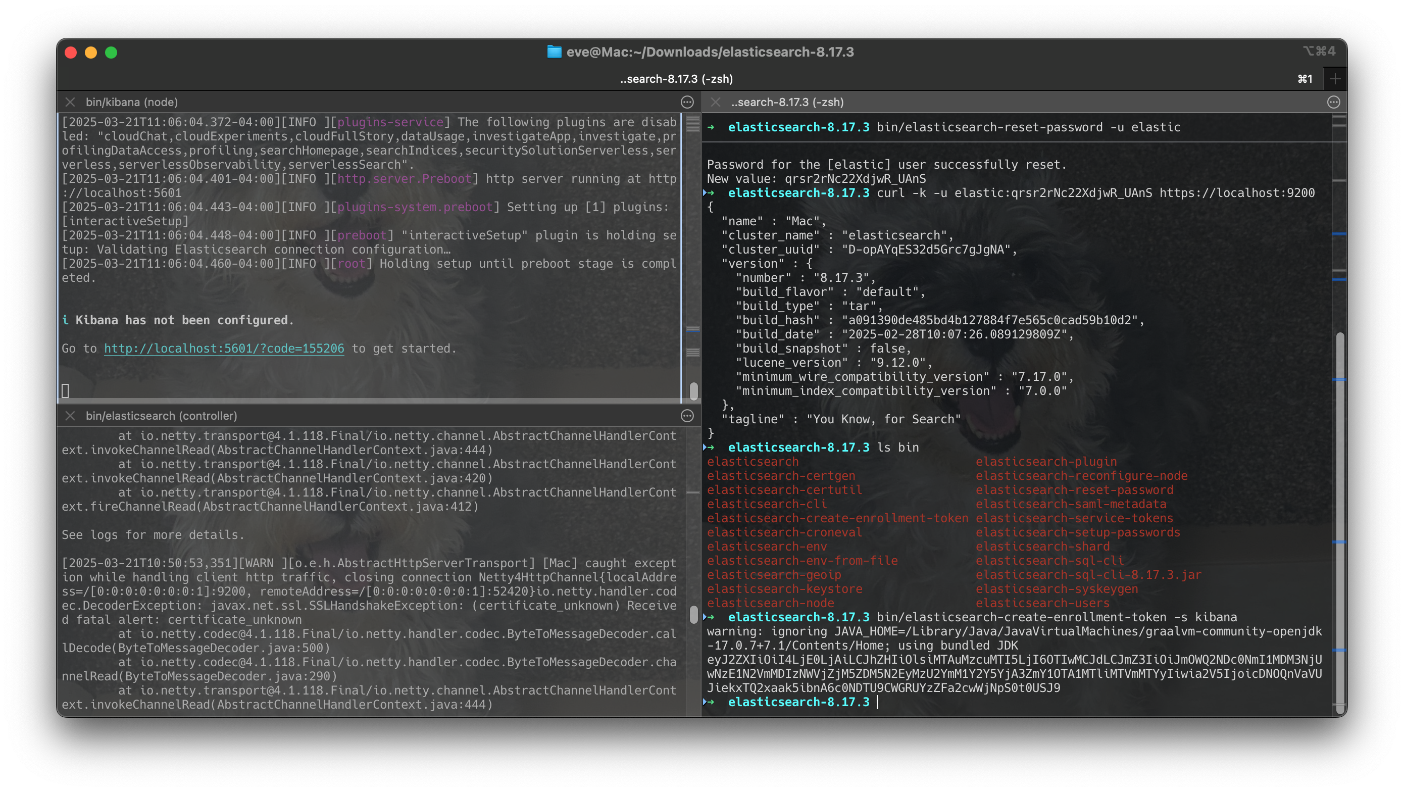 Screenshot 2025-03-21 at 11.10.17