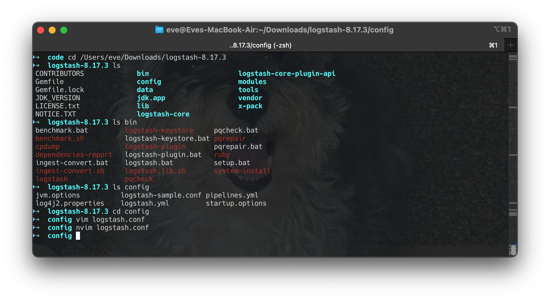 Screenshot 2025-03-21 at 12.38.01