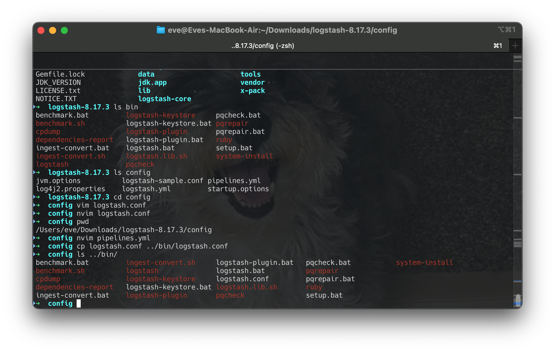 Screenshot 2025-03-21 at 12.44.18