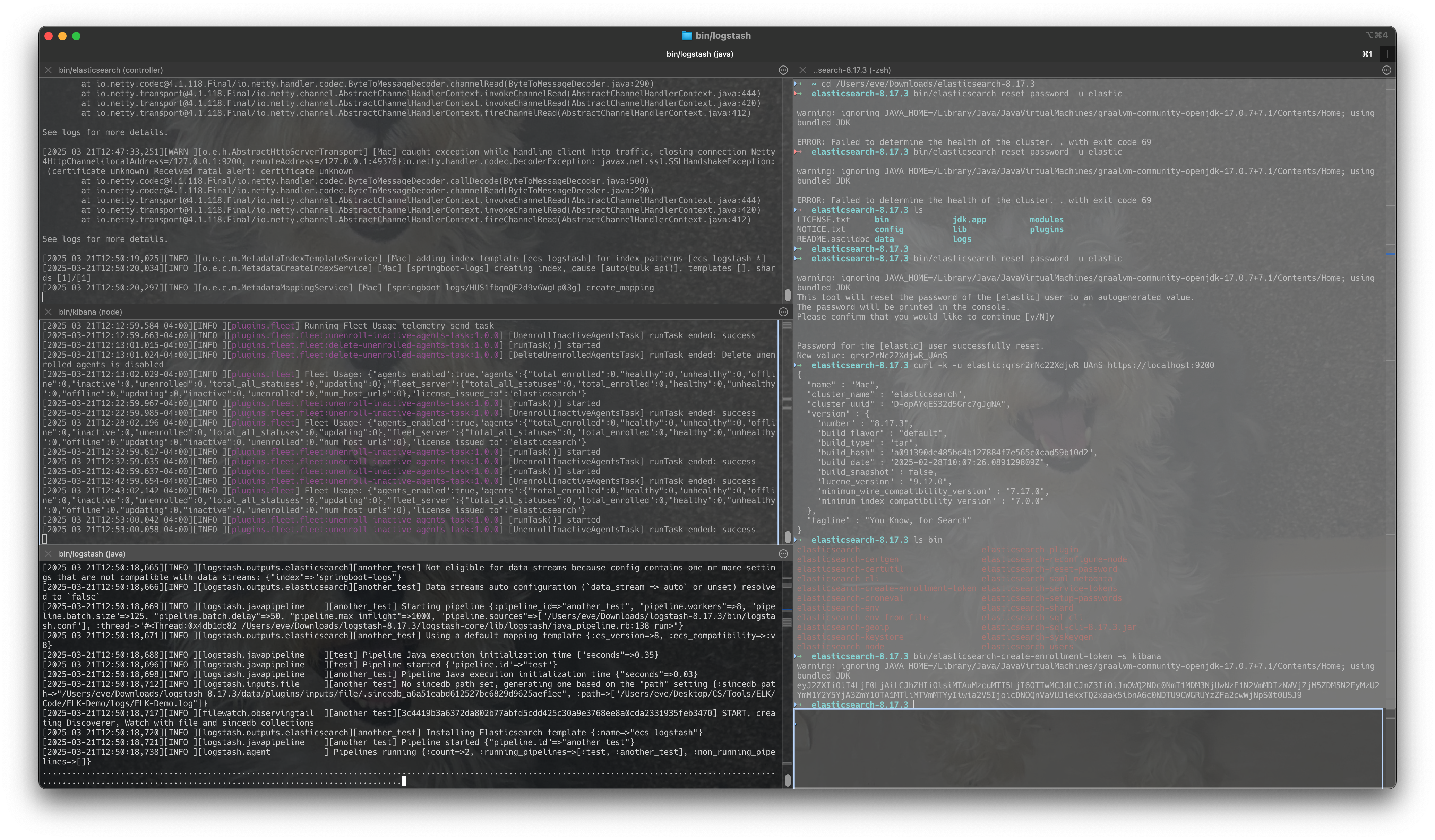 Screenshot 2025-03-21 at 12.54.06
